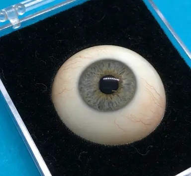 专业义眼定制工作室环境